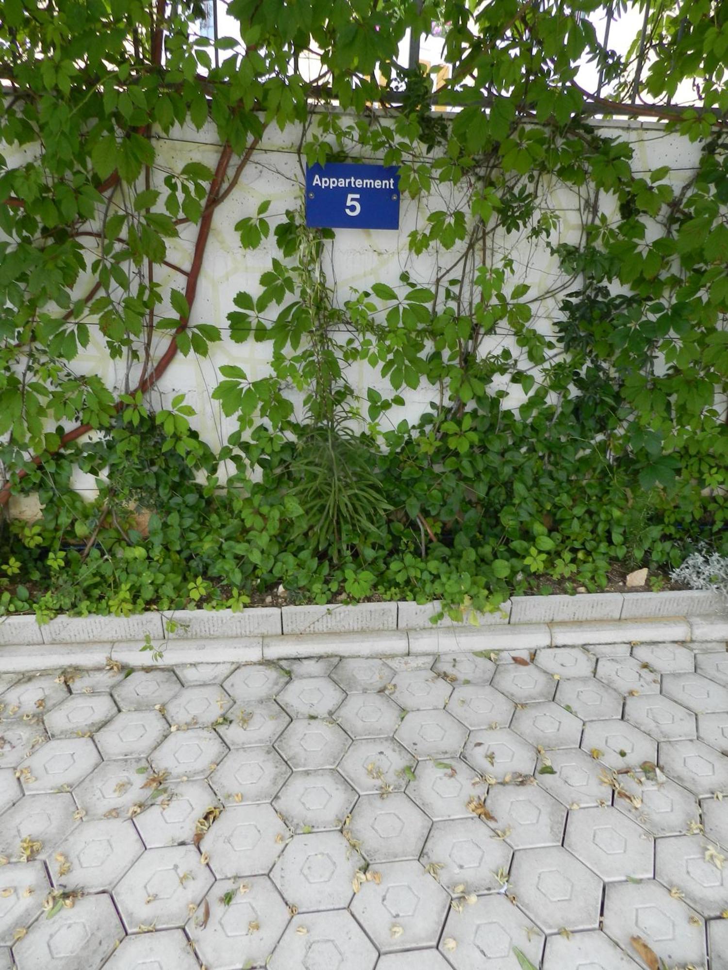 Apartments Kaskada 玛里纳 外观 照片