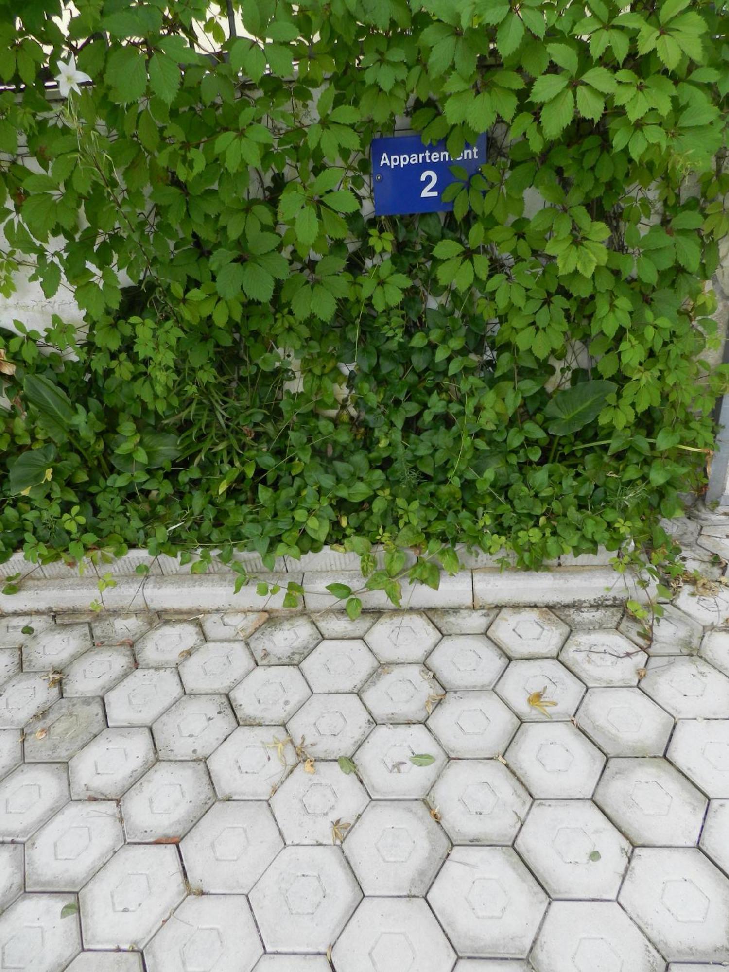 Apartments Kaskada 玛里纳 外观 照片